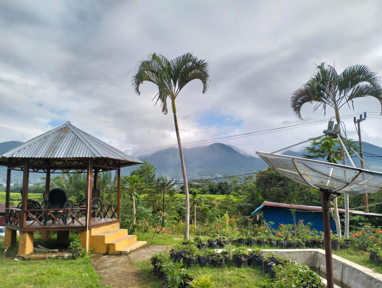 Accommodatie bij particulieren Hobbit Hill Ruteng