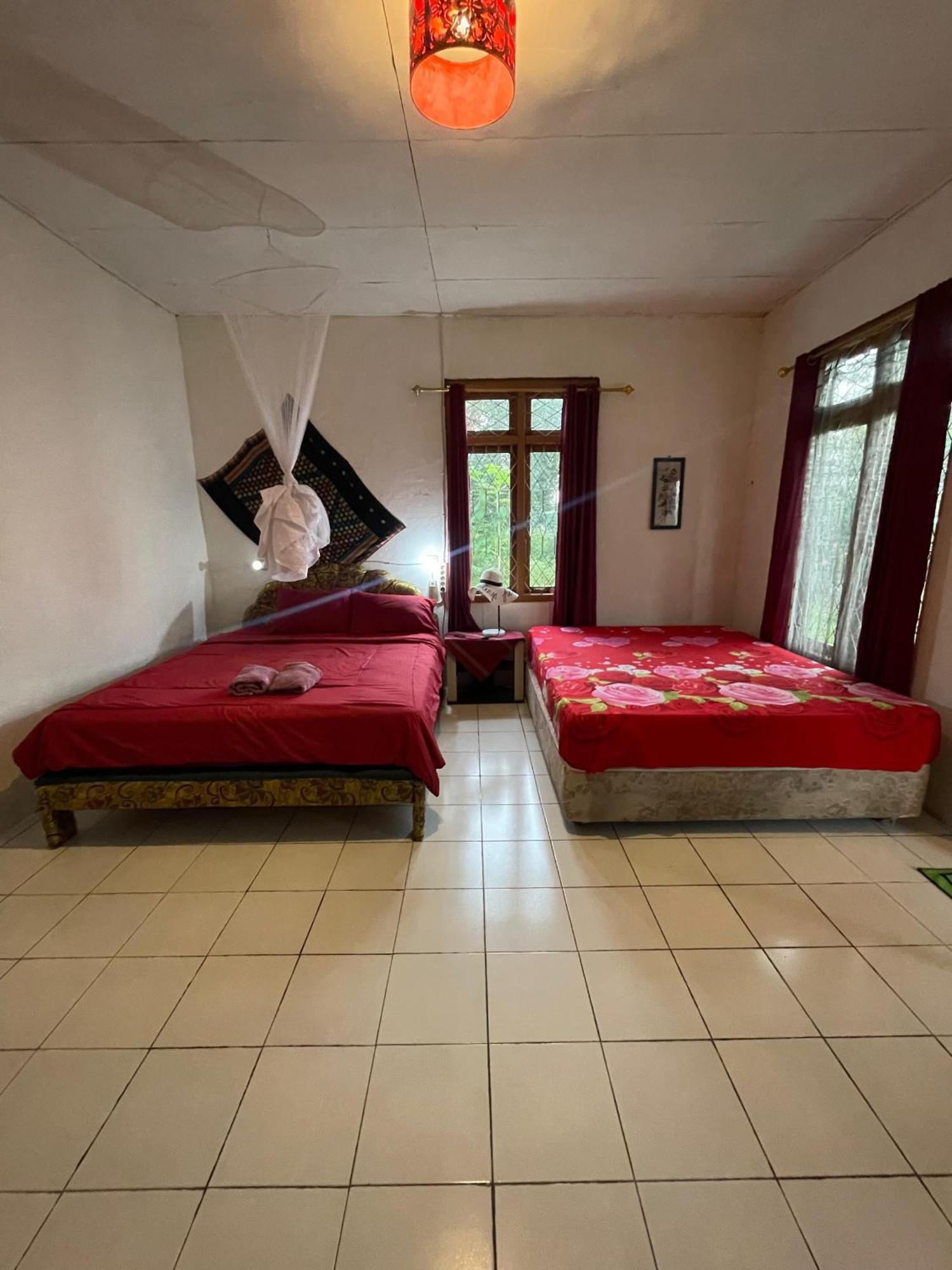 Hobbit Hill Accommodatie bij particulieren Ruteng